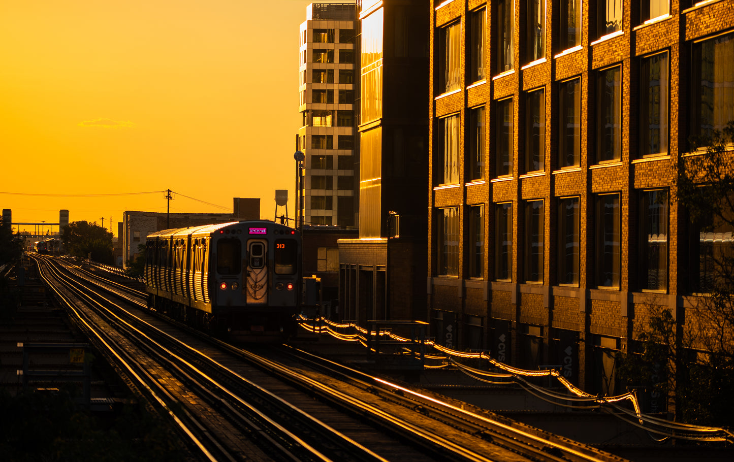 CTA Golden Hour Lake & Morgan