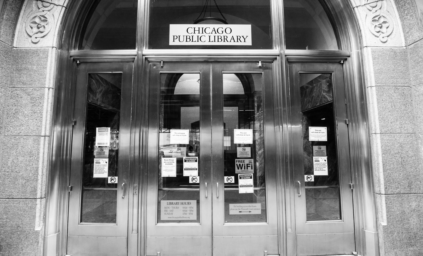 Downtown Chicago Pandemic Collection 2020
