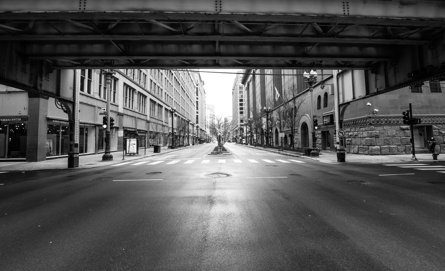 Downtown Chicago Pandemic Collection 2020