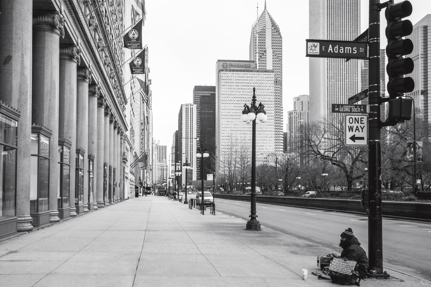 Downtown Chicago Pandemic Collection 2020