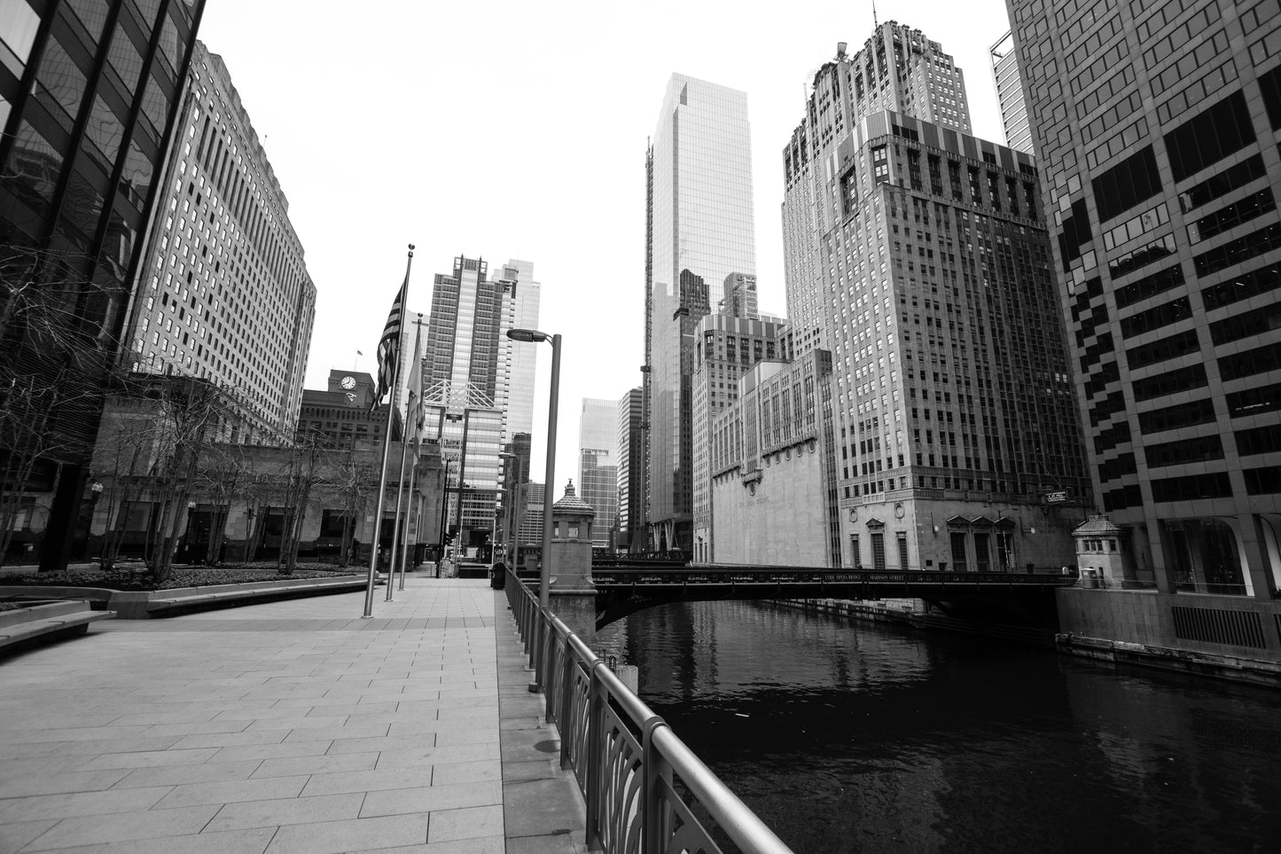 Downtown Chicago Pandemic Collection 2020