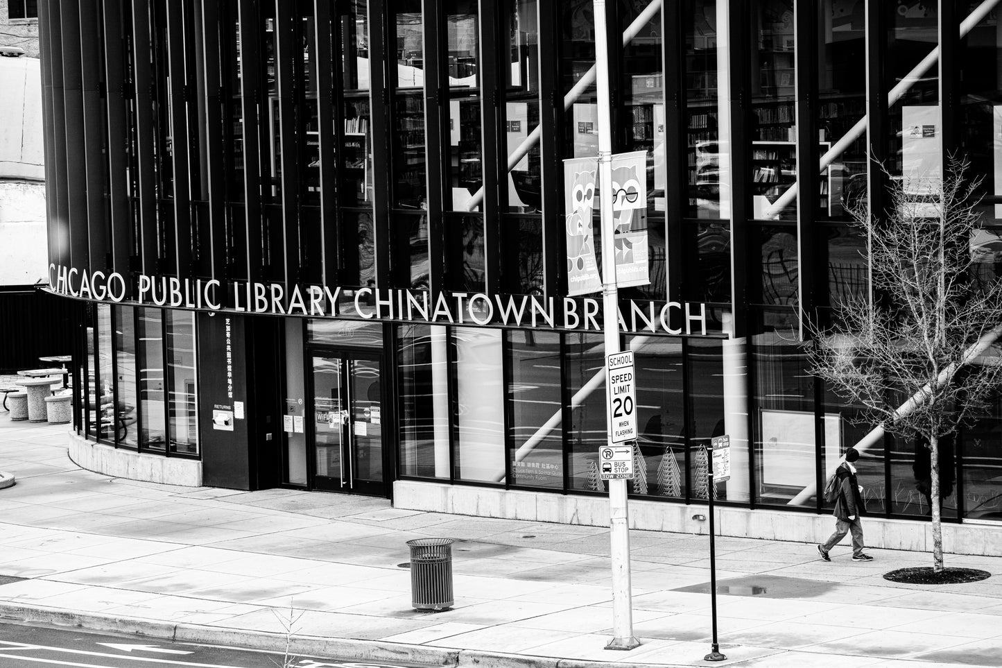 Downtown Chicago Pandemic Collection 2020