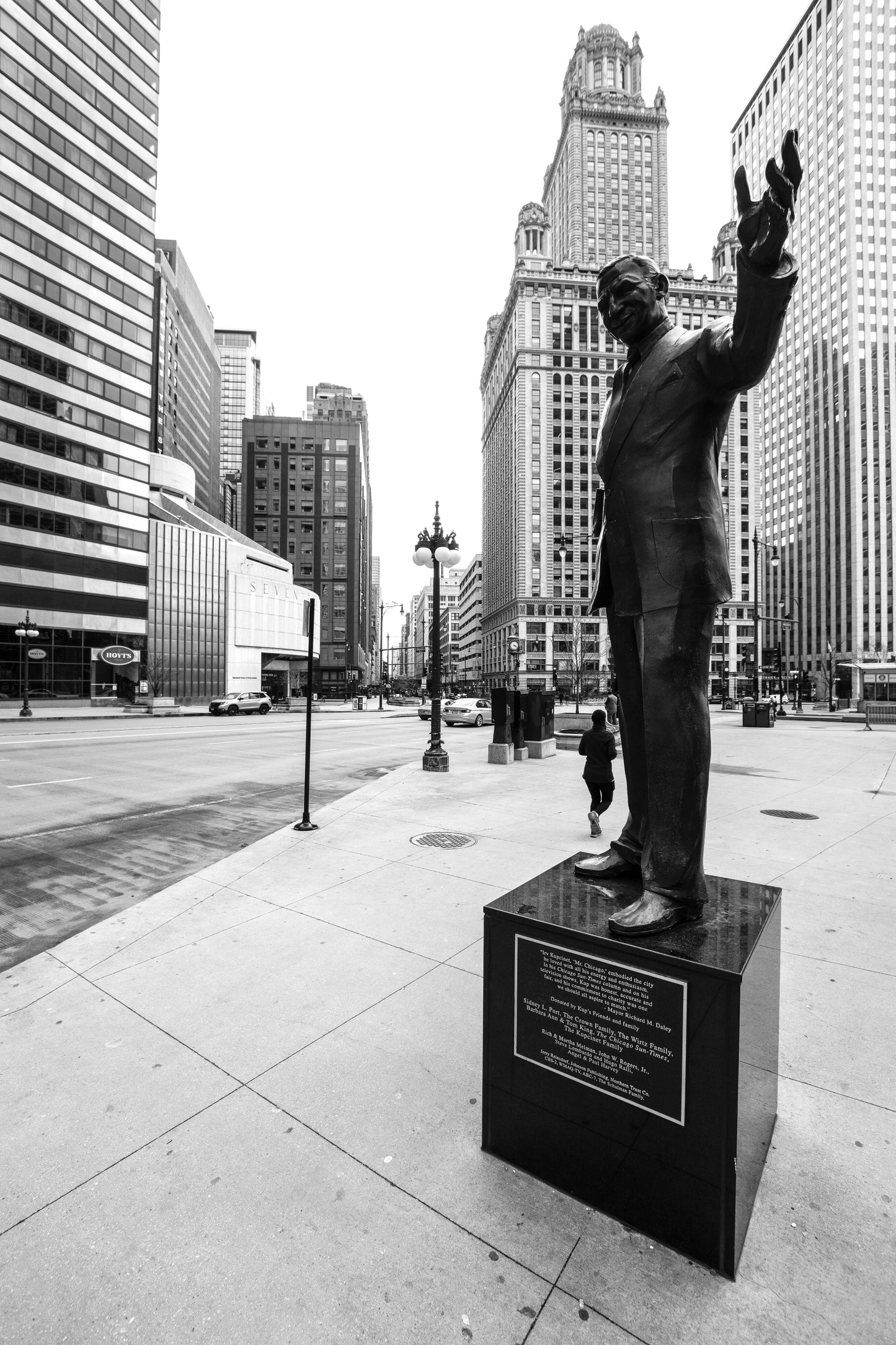 Downtown Chicago Pandemic Collection 2020