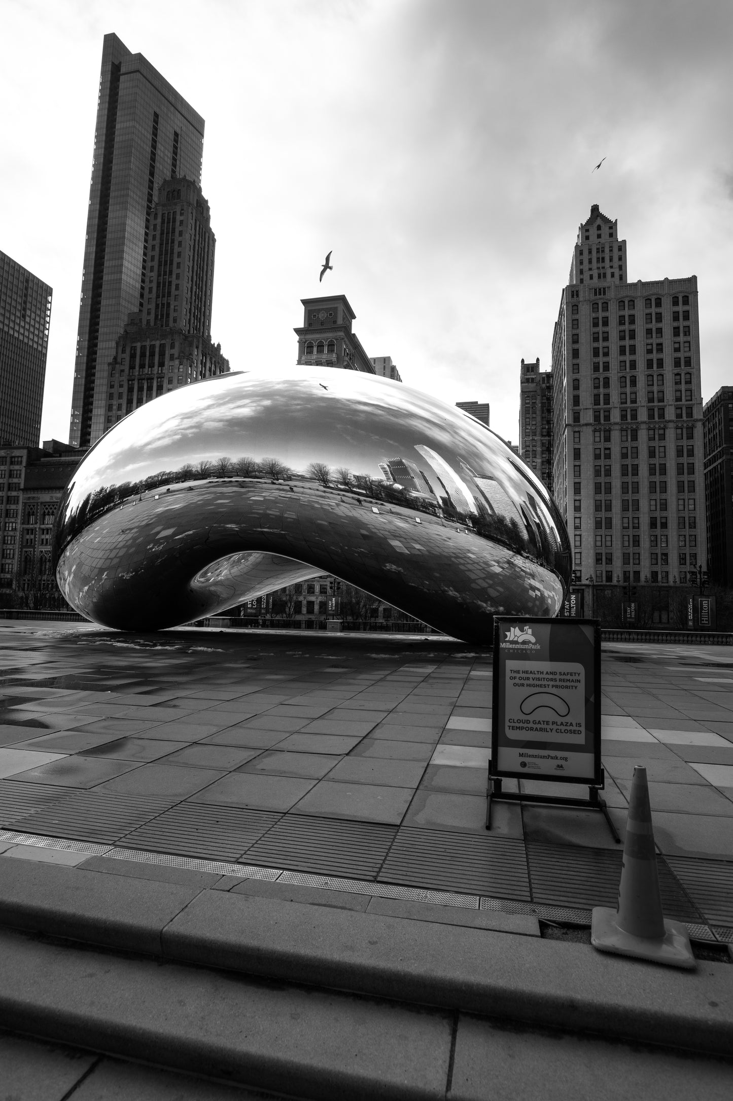 Downtown Chicago Pandemic Collection 2020