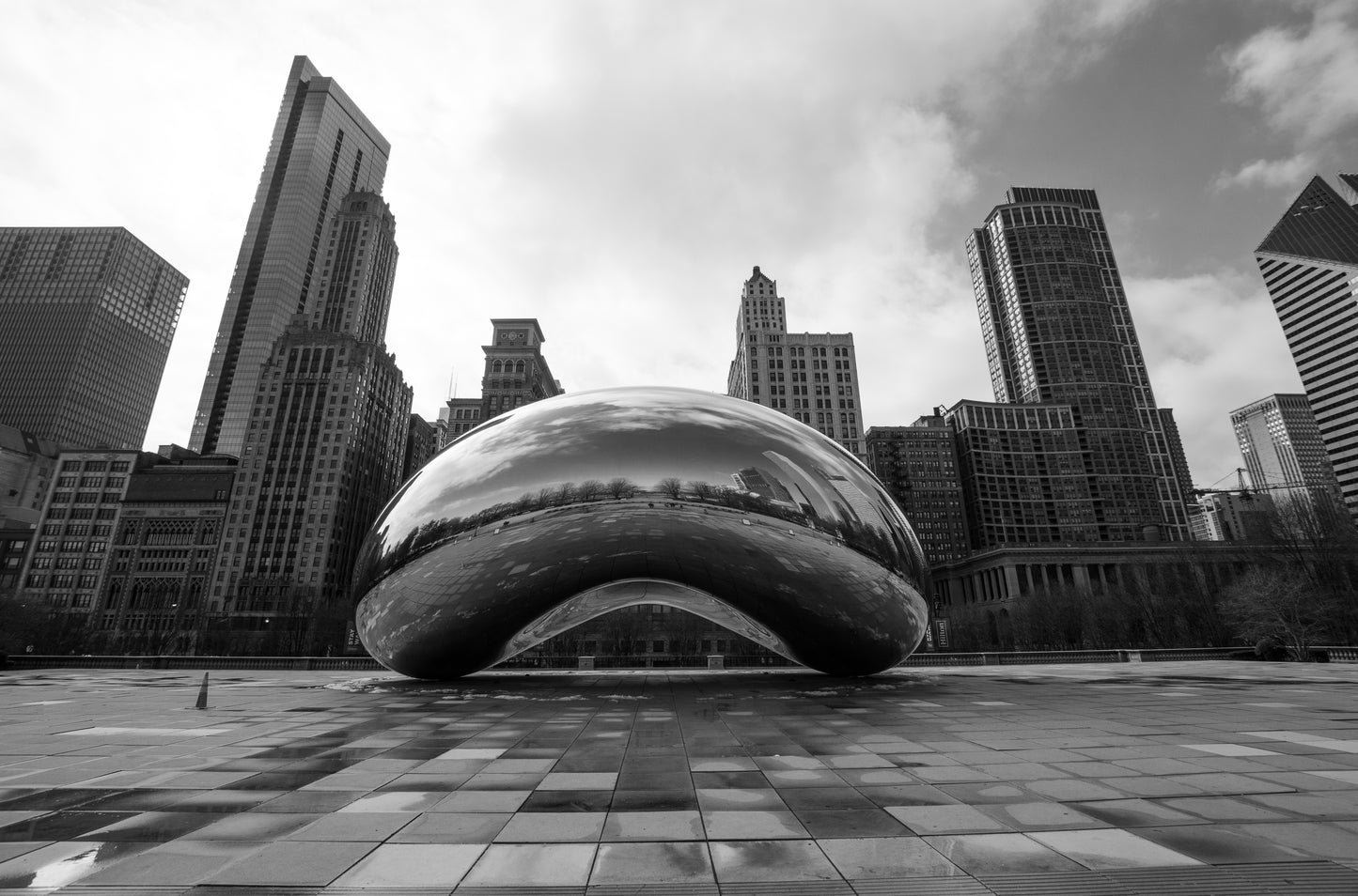 Downtown Chicago Pandemic Collection 2020