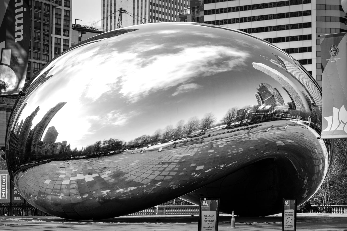 Downtown Chicago Pandemic Collection 2020