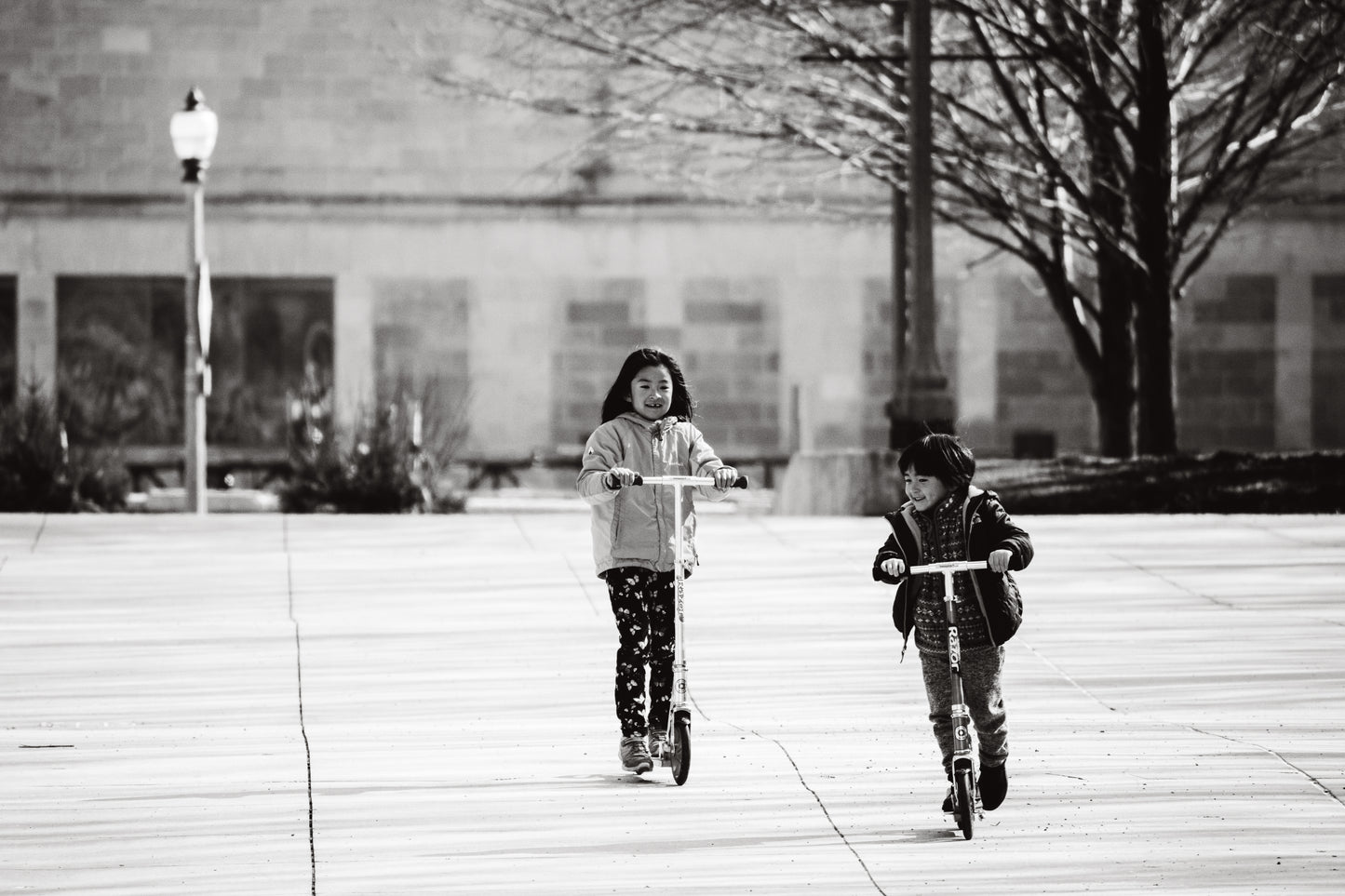 Downtown Chicago Pandemic Collection 2020