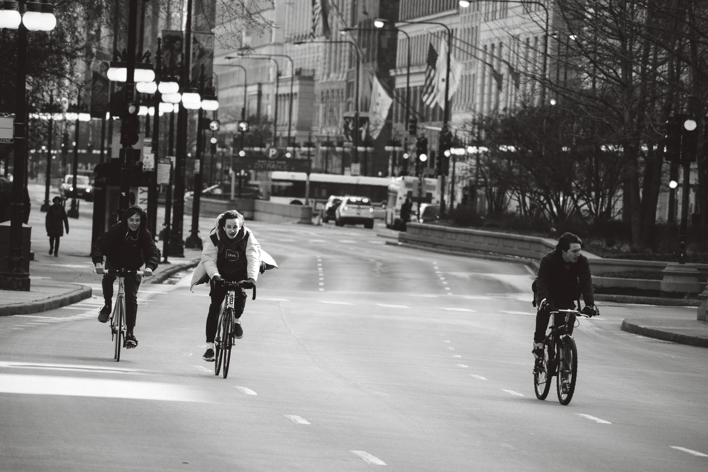 Downtown Chicago Pandemic Collection 2020