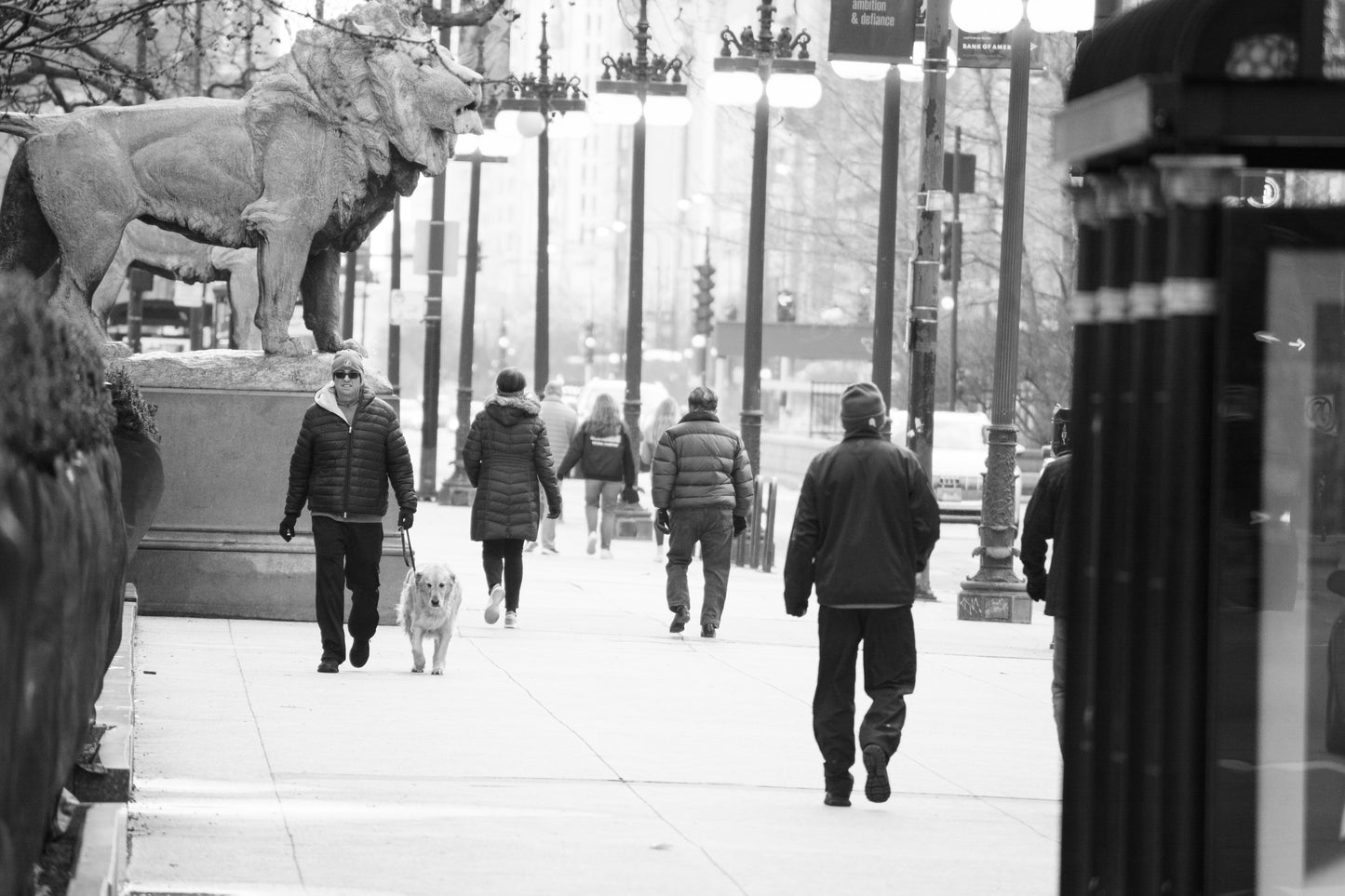Downtown Chicago Pandemic Collection 2020