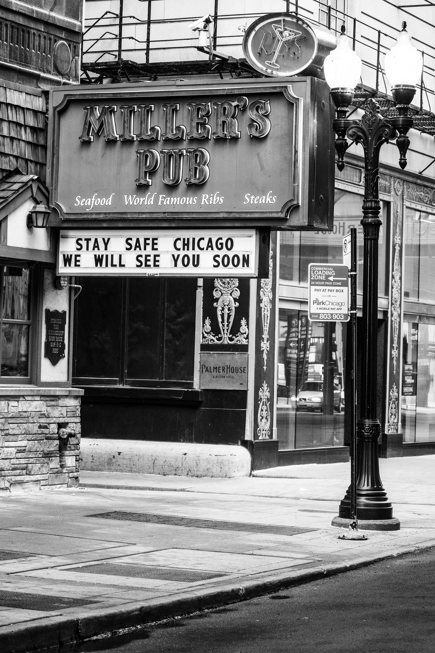 Downtown Chicago Pandemic Collection 2020