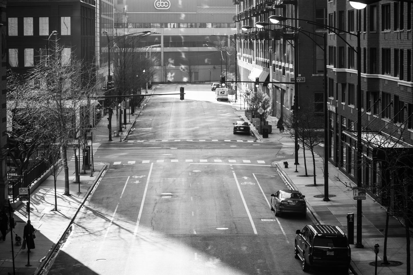 Downtown Chicago Pandemic Collection 2020
