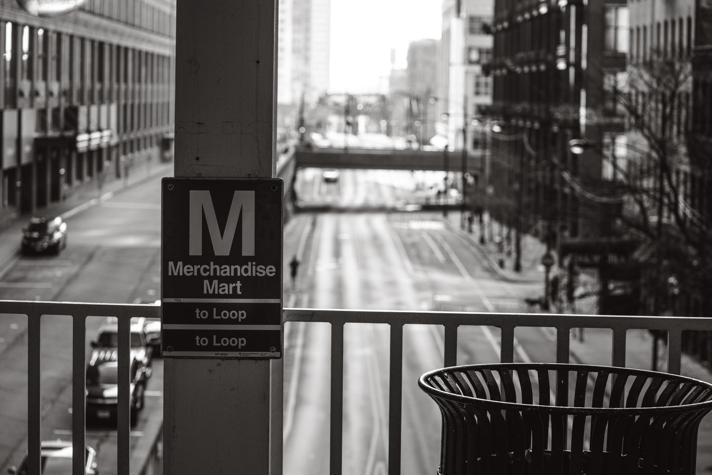 Downtown Chicago Pandemic Collection 2020