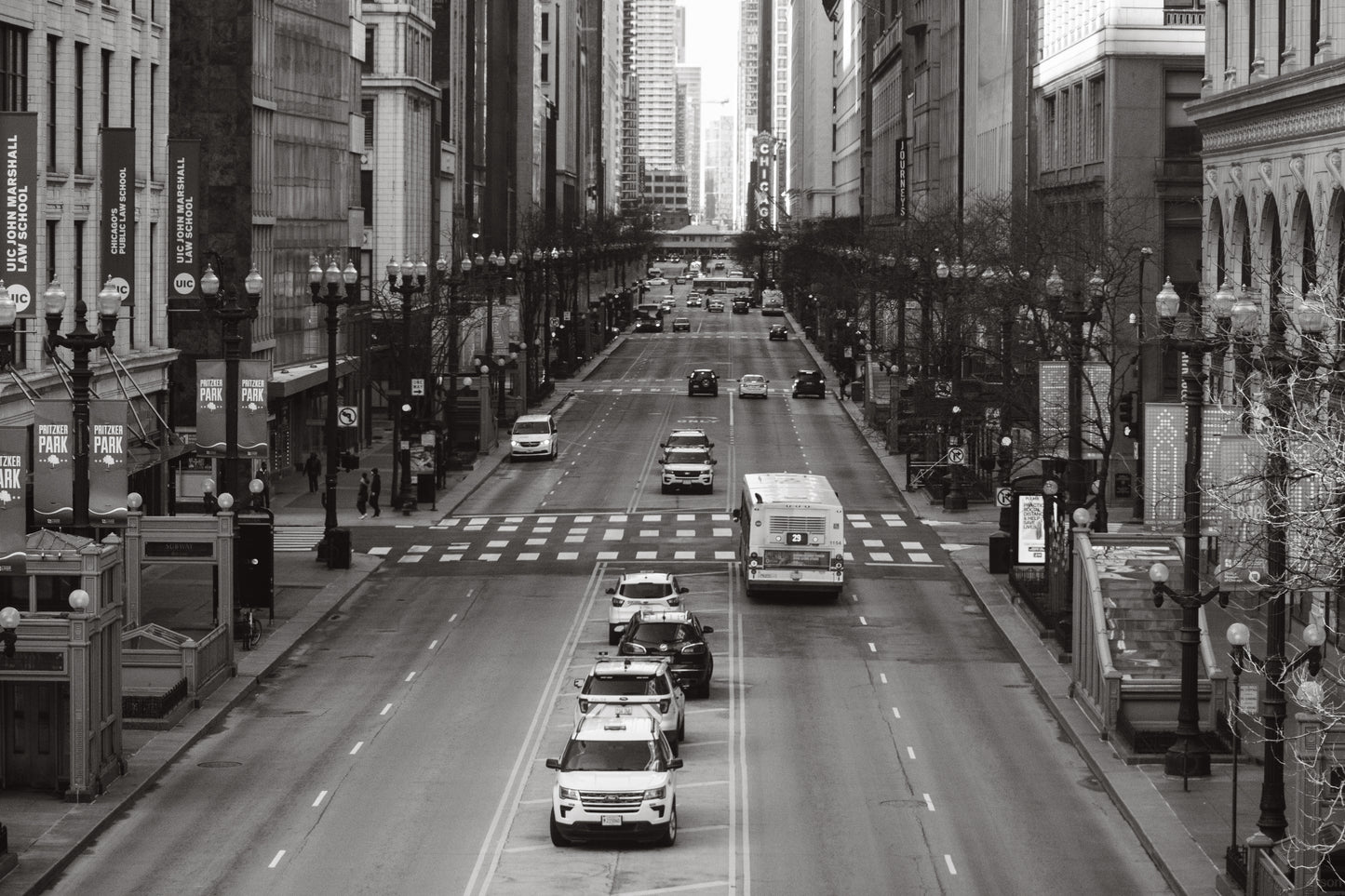 Downtown Chicago Pandemic Collection 2020