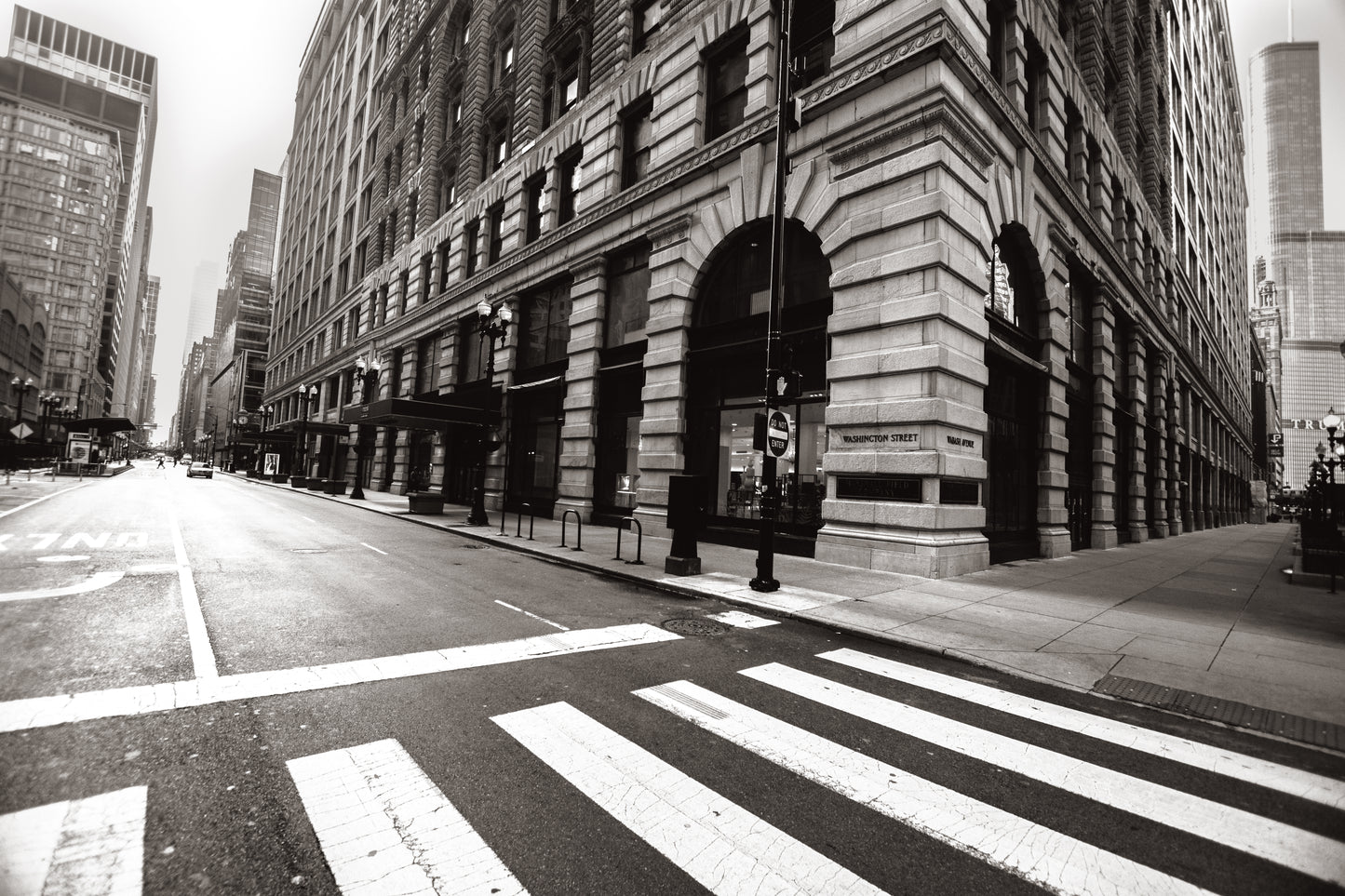 Downtown Chicago Pandemic Collection 2020