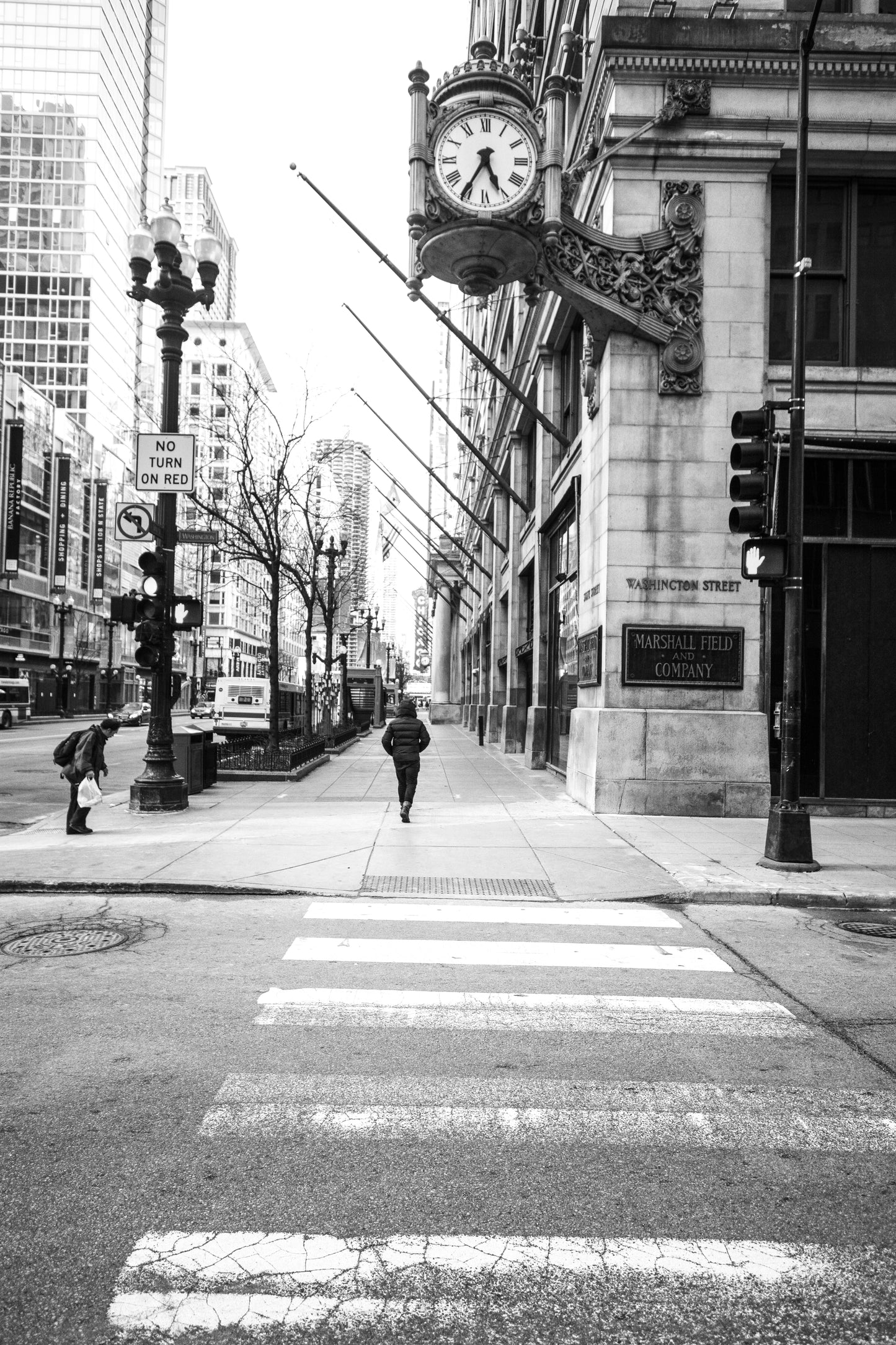 Downtown Chicago Pandemic Collection 2020