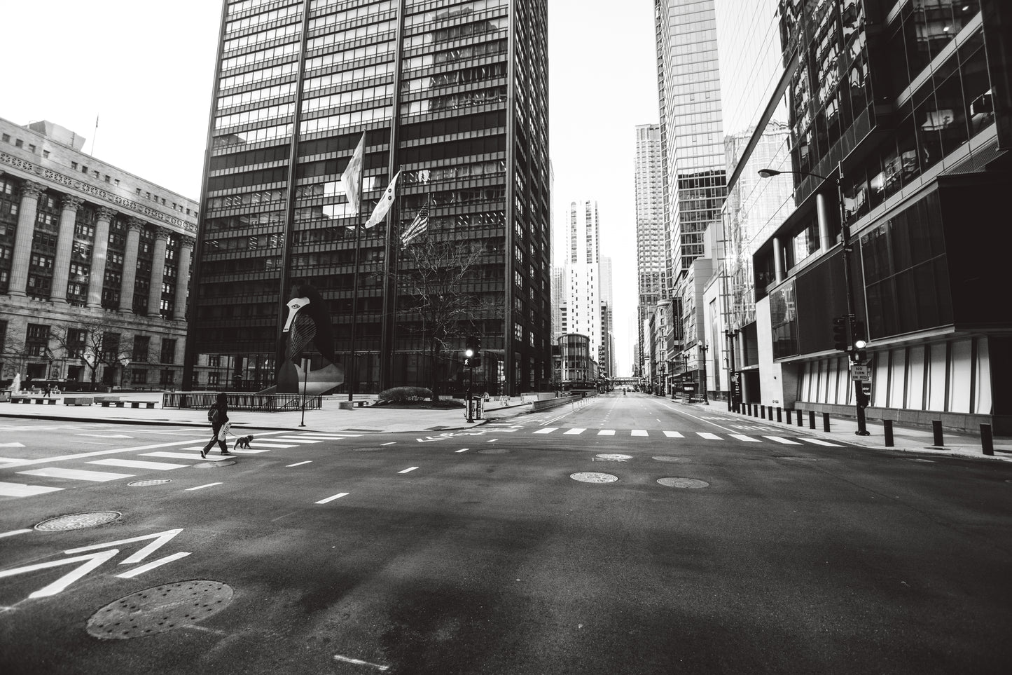 Downtown Chicago Pandemic Collection 2020