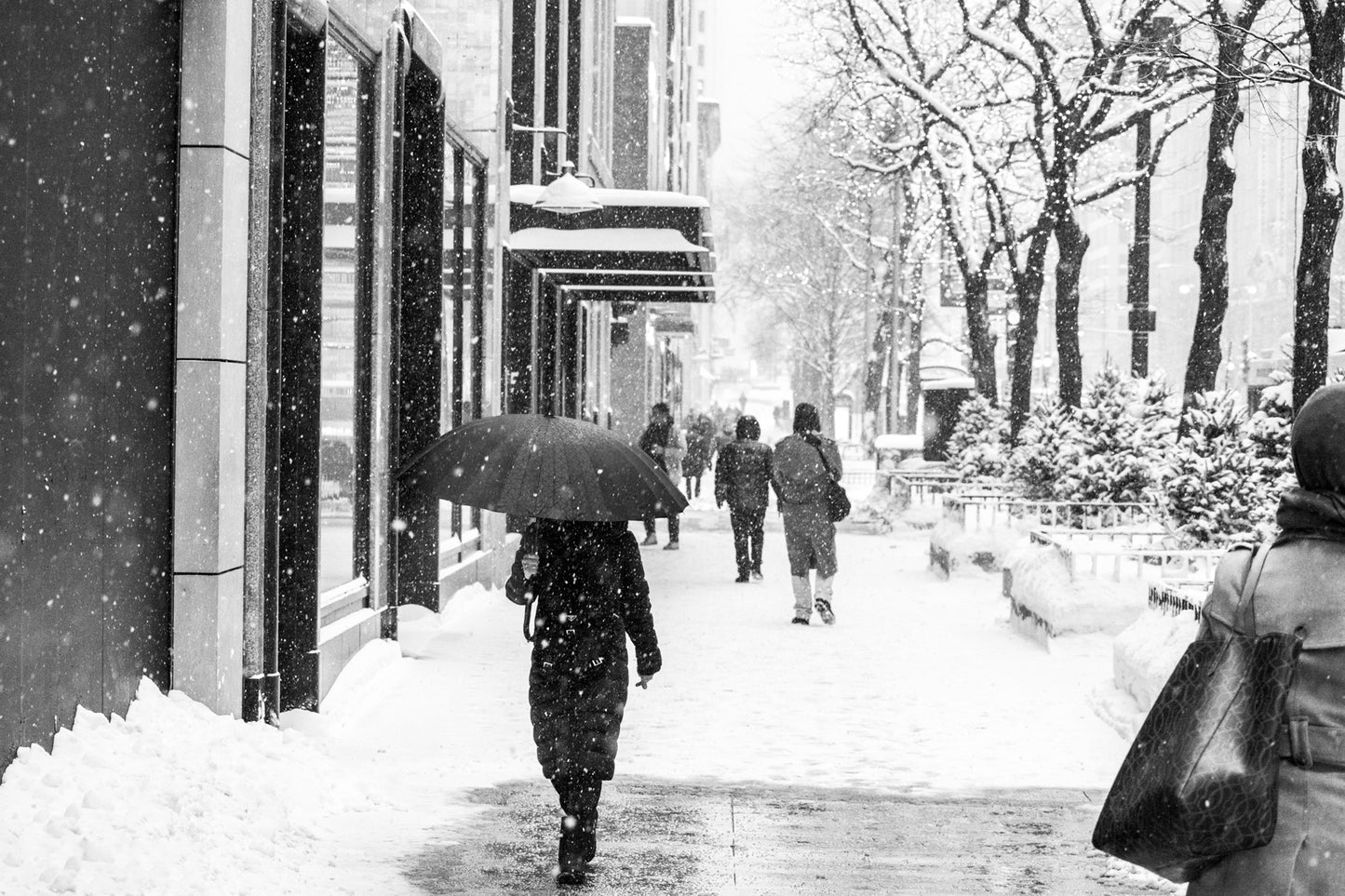 Snow Day