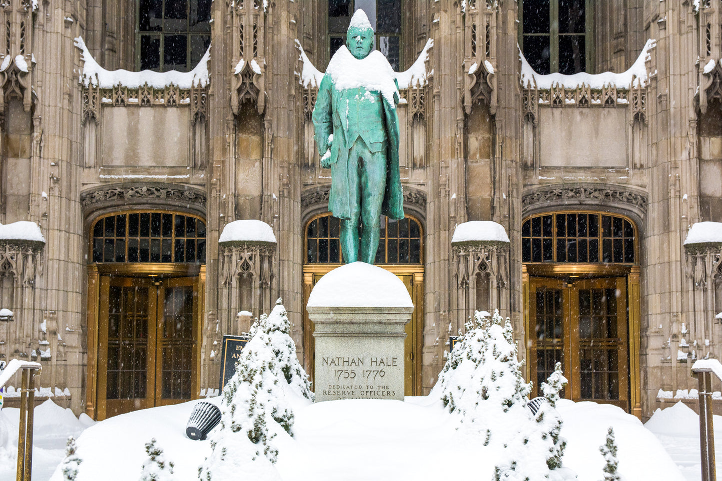 Snow Day