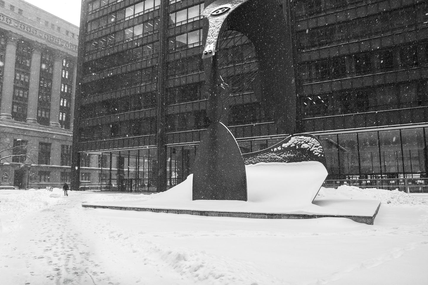 Snow Day