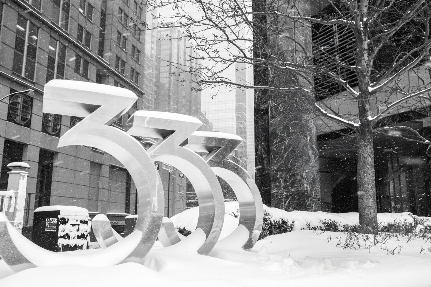 Snow Day