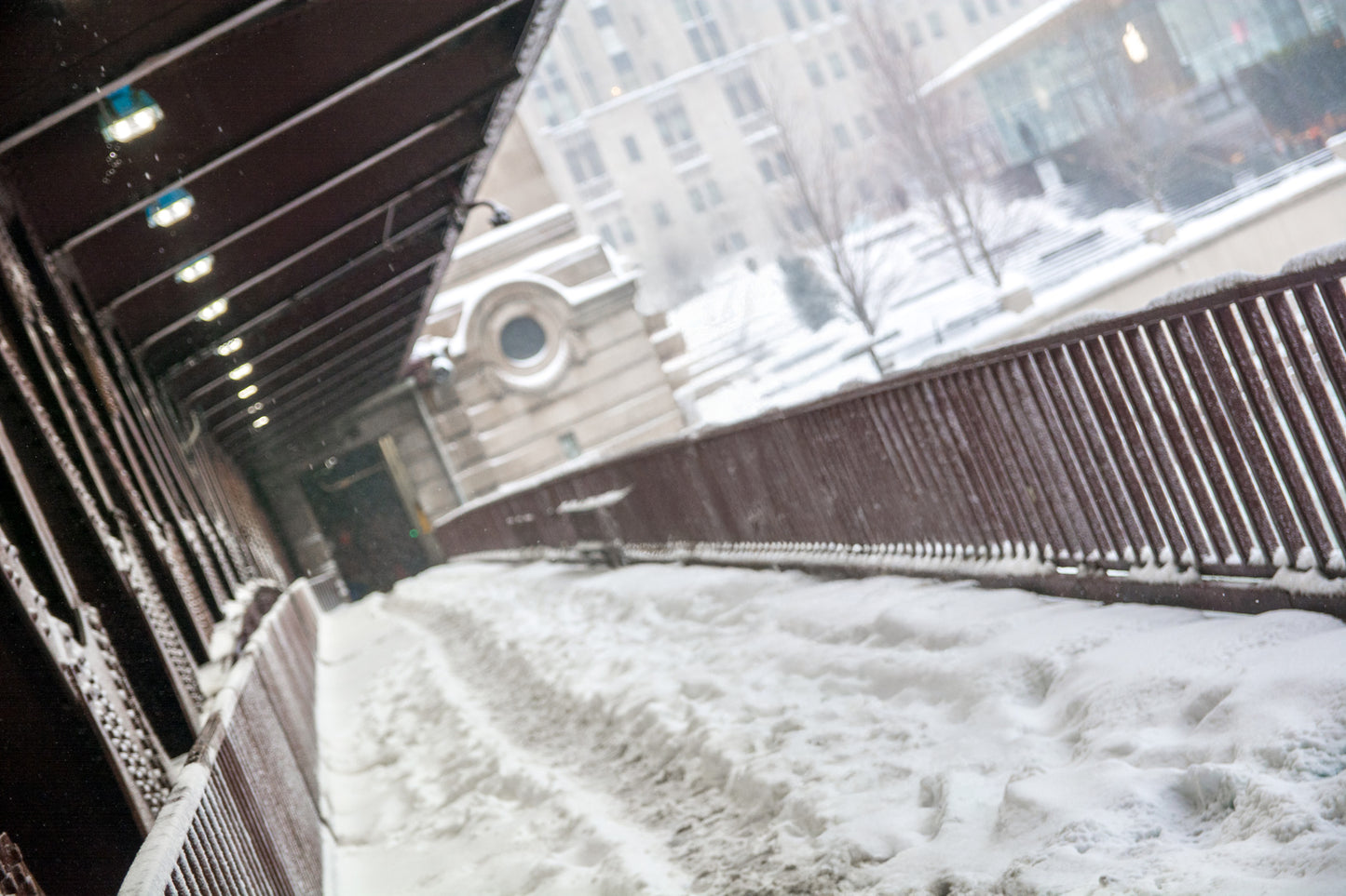 Snow Day