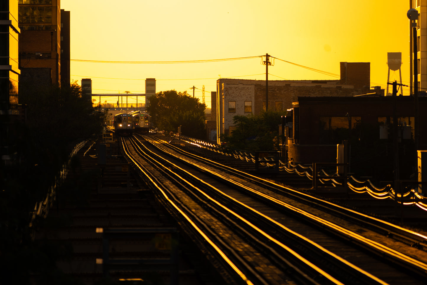 CTA Golden Hour Lake & Morgan