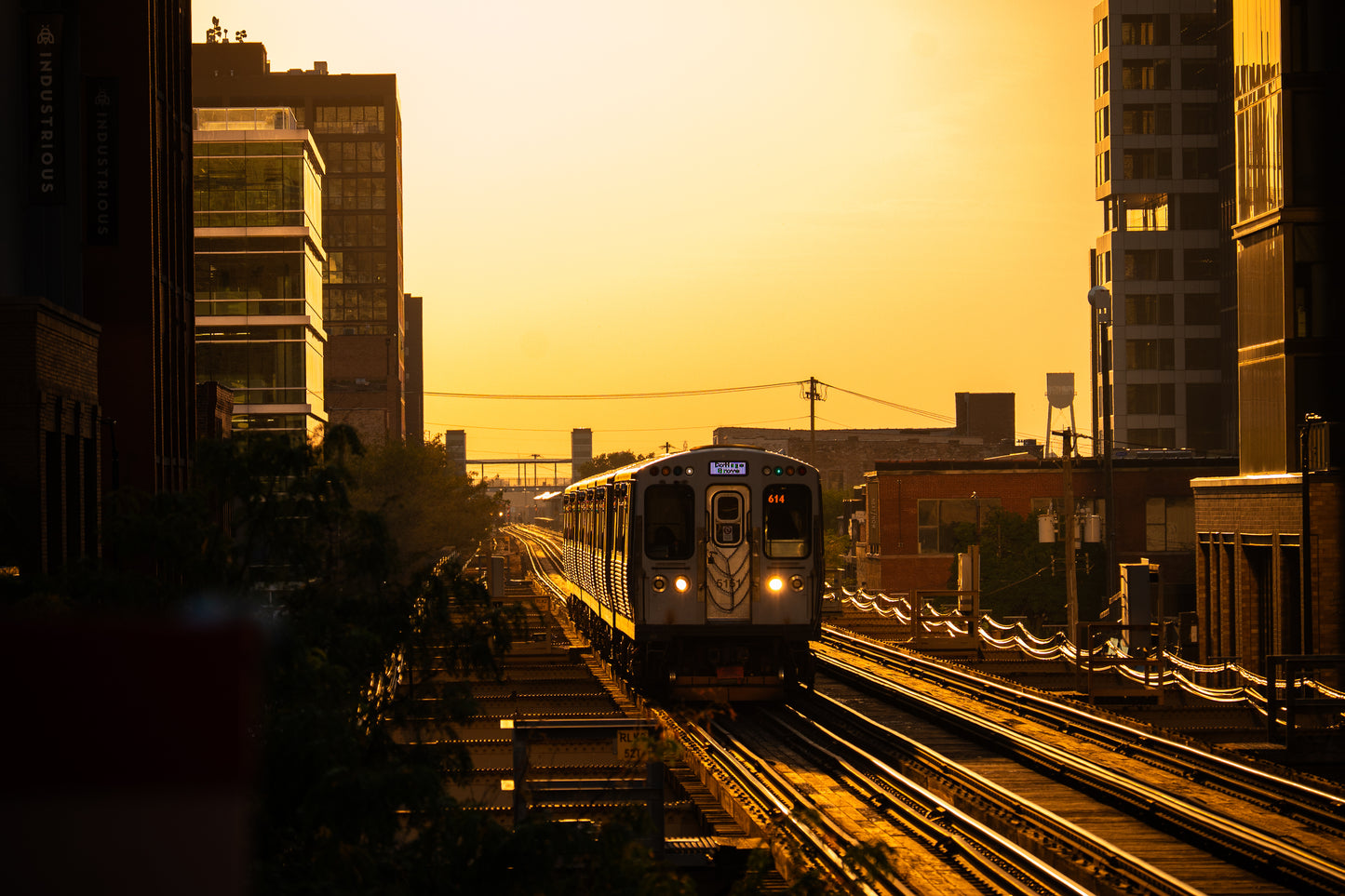 CTA Golden Hour Lake & Morgan