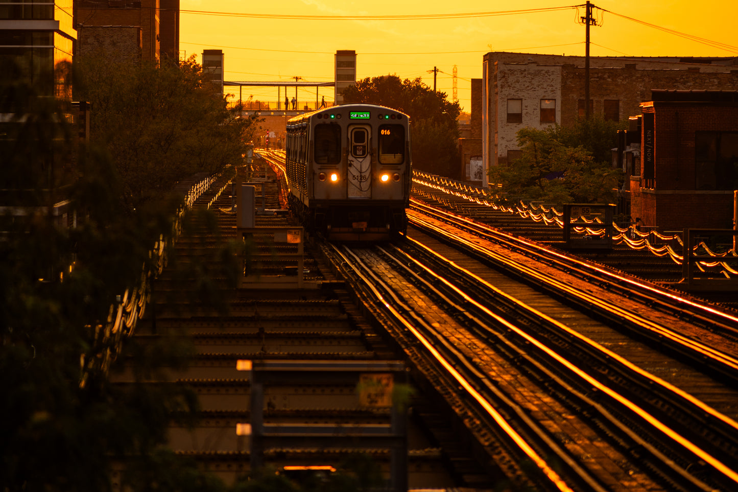 CTA Golden Hour Lake & Morgan